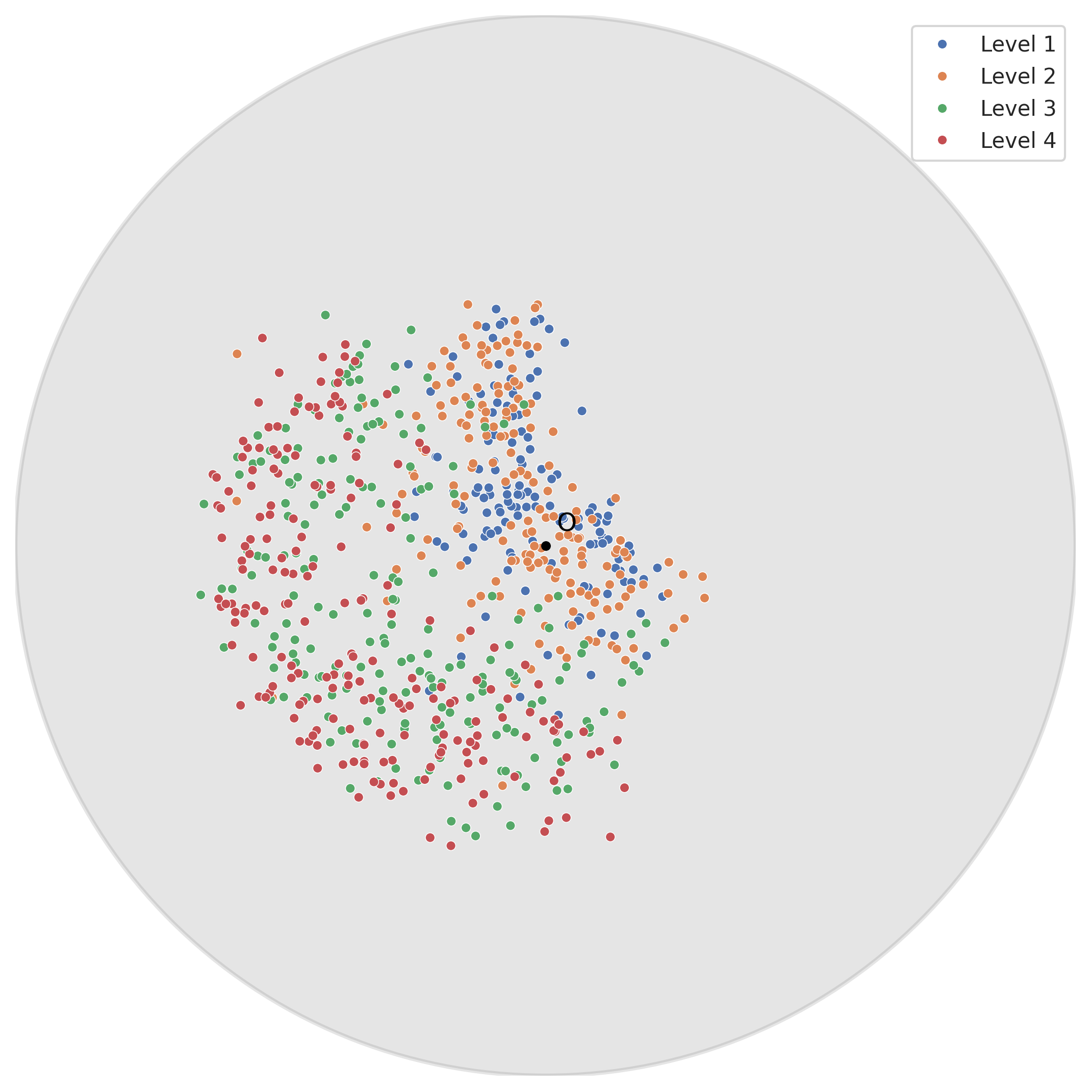 HyCoCLIP HierarCaps HoroPCA
